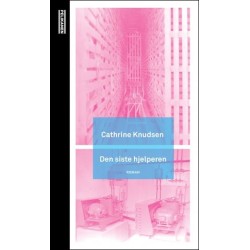 Den siste hjelperen : roman