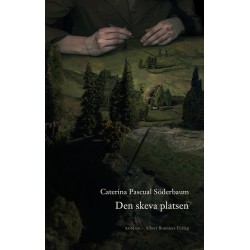 Den skeva platsen : roman