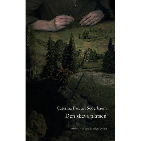 Den skeva platsen : roman