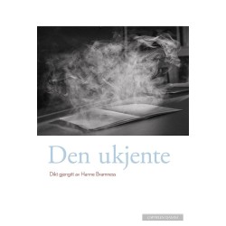Den ukjente : dikt