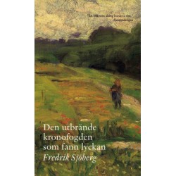 Den utbrände kronofogden som fann lyckan