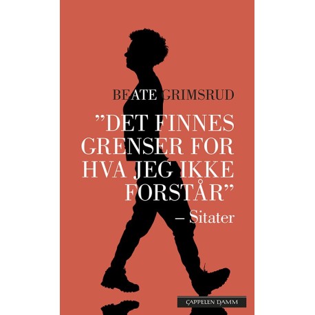 Det finnes grenser for hva jeg ikke forstår : og andre sitater