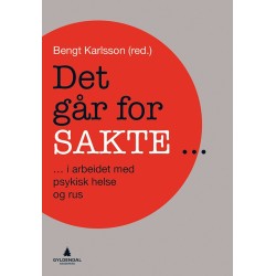 Det går for sakte : i arbeid med psykisk helse og rus