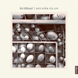 Det står til liv : kortprosa og foto