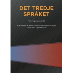 Det tredje språket : multimodale studier av interkulturell kommunikasjon i kunst, skole og samfunnsliv