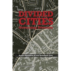 Divided cities : governing diversity