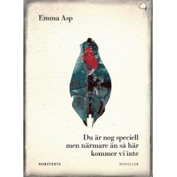 Du är nog speciell men närmare än så här kommer vi inte : noveller