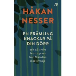 En främling knackar på din dörr : och två andra brottstycken från Maardam med omnejd