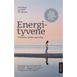 Energityvene : utmattelse i sykdom og hverdag