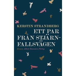Ett par från Stjärnfallsvägen : roman