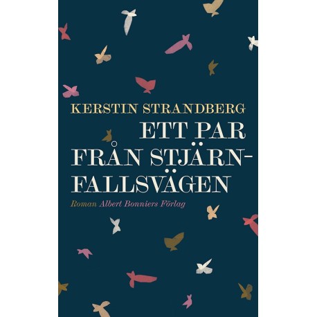 Ett par från Stjärnfallsvägen : roman