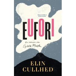 Eufori : en roman om Sylvia Plath