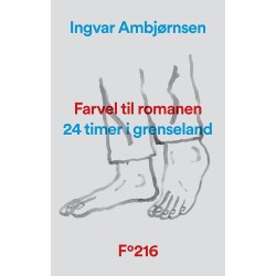 Farvel til romanen : 24 timer i grenseland