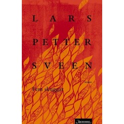 Fem skuggar : bok II : roman