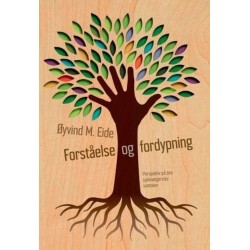 Forståelse og fordyping : perspektiv på den sjelesørgeriske samtalen