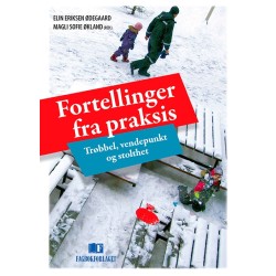 Fortellinger fra praksis : trøbbel, vendepunkt og stolthet