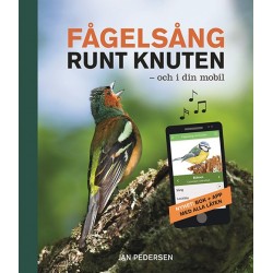 Fågelsång runt knuten - och i din mobil