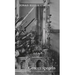 Genom spegeln : nya dikter