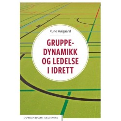 Gruppedynamikk og ledelse i idrett