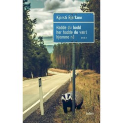 Hadde du bodd her hadde du vært hjemme nå : dikt