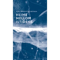 Heime mellom istidene : dikt