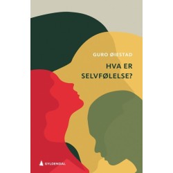 Hva er selvfølelse?