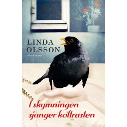I skymningen sjunger koltrasten : en roman