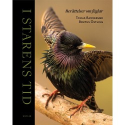 I starens tid : berättelser om fåglar / foto: Brutus Östling