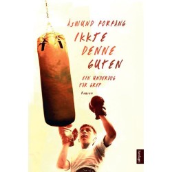 Ikkje denne guten : roman