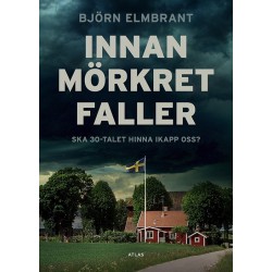 Innan mörkret faller : ska 30-talet hinna ikapp oss?