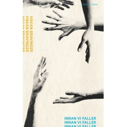 Innan vi faller : roman