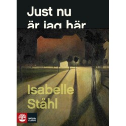 Just nu är jag här : roman