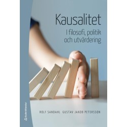 Kausalitet : i filosofi, politik och utvärdering