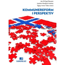 Kommunereform i perspektiv