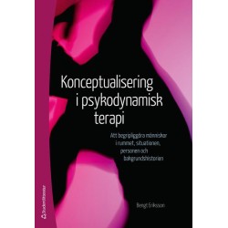 Konceptualisering i psykodynamisk terapi : att begripliggöra människor i rummet, situationen, personen och bakgrundshist