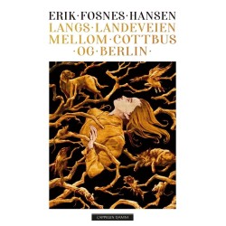 Langs landeveien mellom Cottbus og Berlin