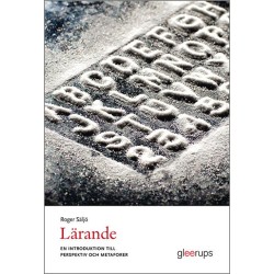 Lärande : en introduktion till perspektiv och metaforer