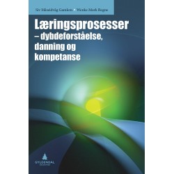 Læringsprosesser : dybdeforståelse, danning og kompetanse