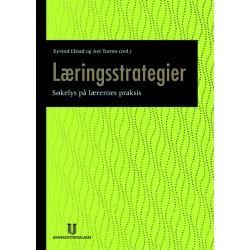 Læringsstrategier : søkelys på lærernes praksis