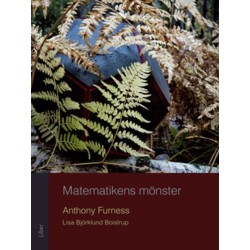 Matematikens mönster