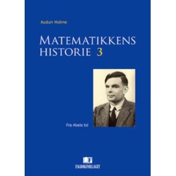 Matematikkens historie 3 : fra Abels tid