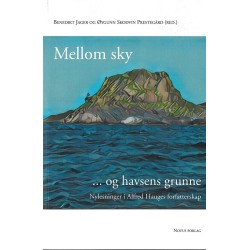 Mellom sky og havsens grunne : nylesninger i Alfred Hauges forfatterskap