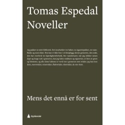 Mens det ennå er for sent : noveller