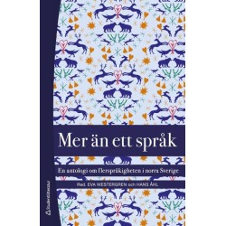 Mer än ett språk : en antologi om flerspråkigheten i norra Sverige