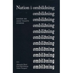 Nation i ombildning : essäer om 2000-talets Sverige