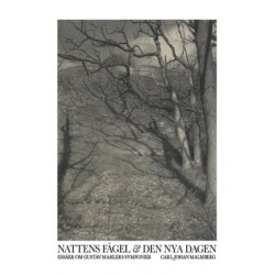 Nattens fågel och nya dagen : essäer om Gustav Mahlers symfonier