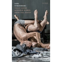 Nelly Sachs kommer aldrig fram till havet