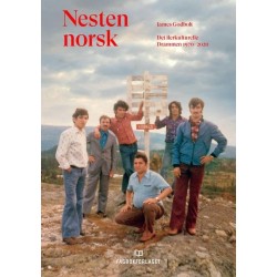 Nesten norsk : det flerkulturelle Drammen 1970-2020