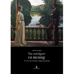 Noe som ligner en mening : ni essays om vitenskap, religion og undring