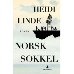 Norsk sokkel : roman